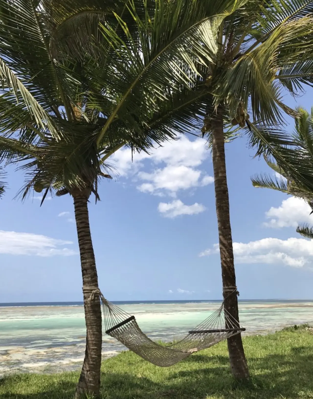 Hamaca entre palmeras frente al mar en Zanzíbar